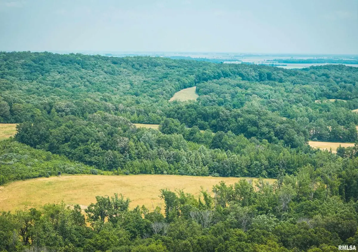 3485 Coyle Lane, Equality, IL 62934 - #1