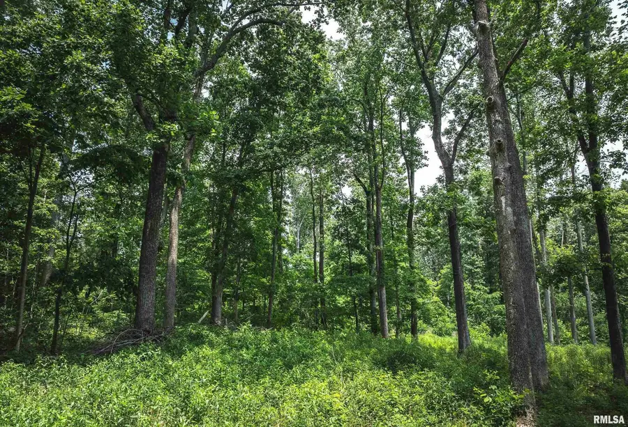 3485 Coyle Lane, Equality, IL 62934 - #3