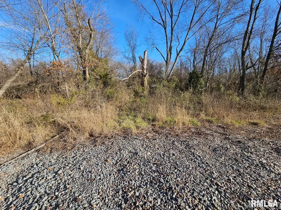 0000 N Il 37 Highway, Bonnie, IL 62816 - #2