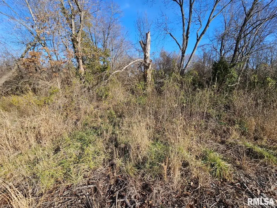 0000 N Il 37 Highway, Bonnie, IL 62816 - #3