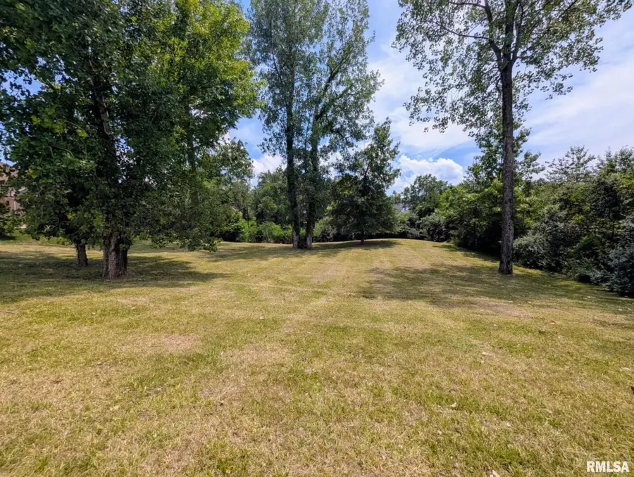 69 David Livingstone Drive, Carterville, IL 62918 - Image #3