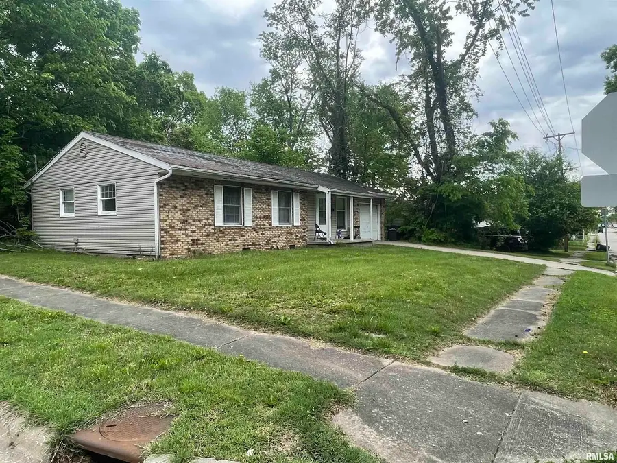 408 W Chestnut Street, Carbondale, IL 62901 - #3