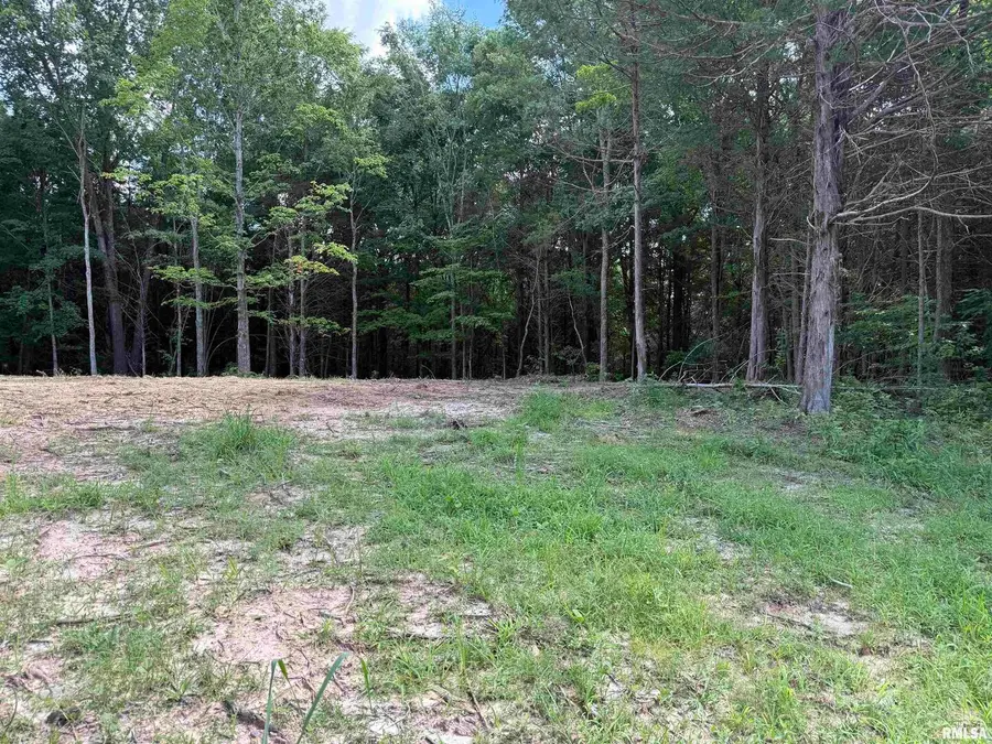 Lot 305 Pecan Point Lane, Goreville, IL 62939 - Image #2