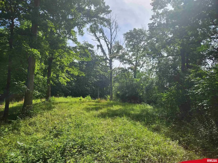 12326 N Ring Lane, Woodlawn, IL 62898 - Image #2