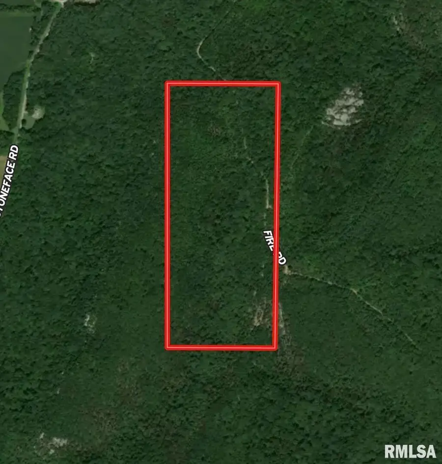 000 Stoneface Road, Harrisburg, IL 62947 - Image #2