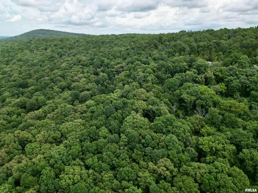 000 Stoneface Road, Harrisburg, IL 62947 - Image #3