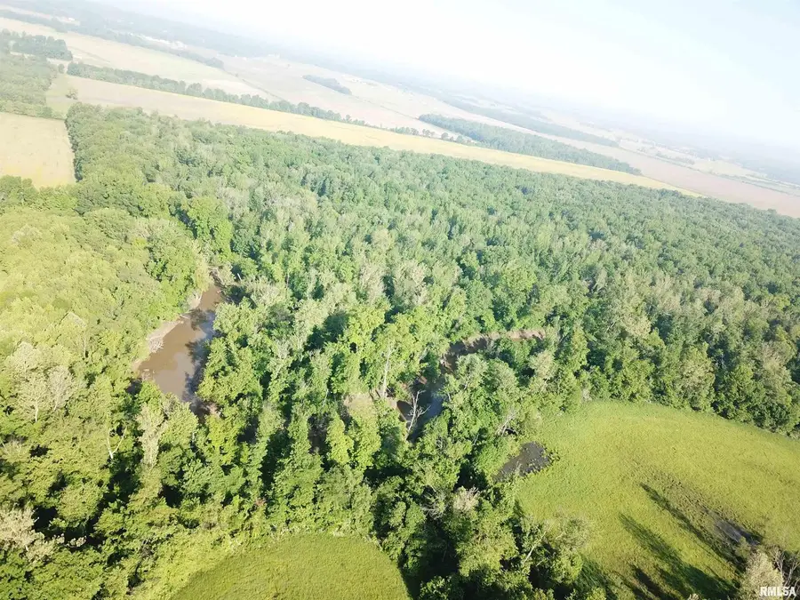 000 County Road 275 E Road, Keenes, IL 62851 - #3