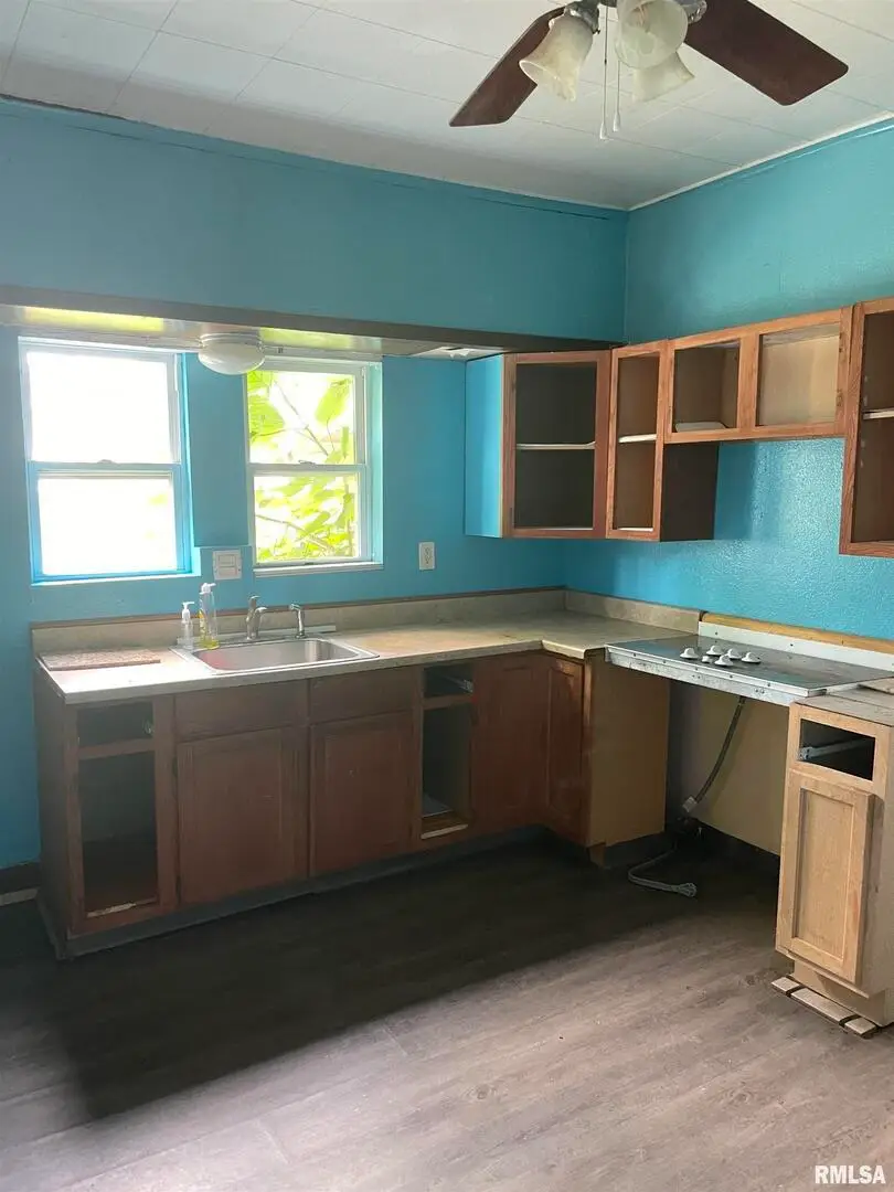 1005 E Elm Street, West Frankfort, IL 62896 - #3