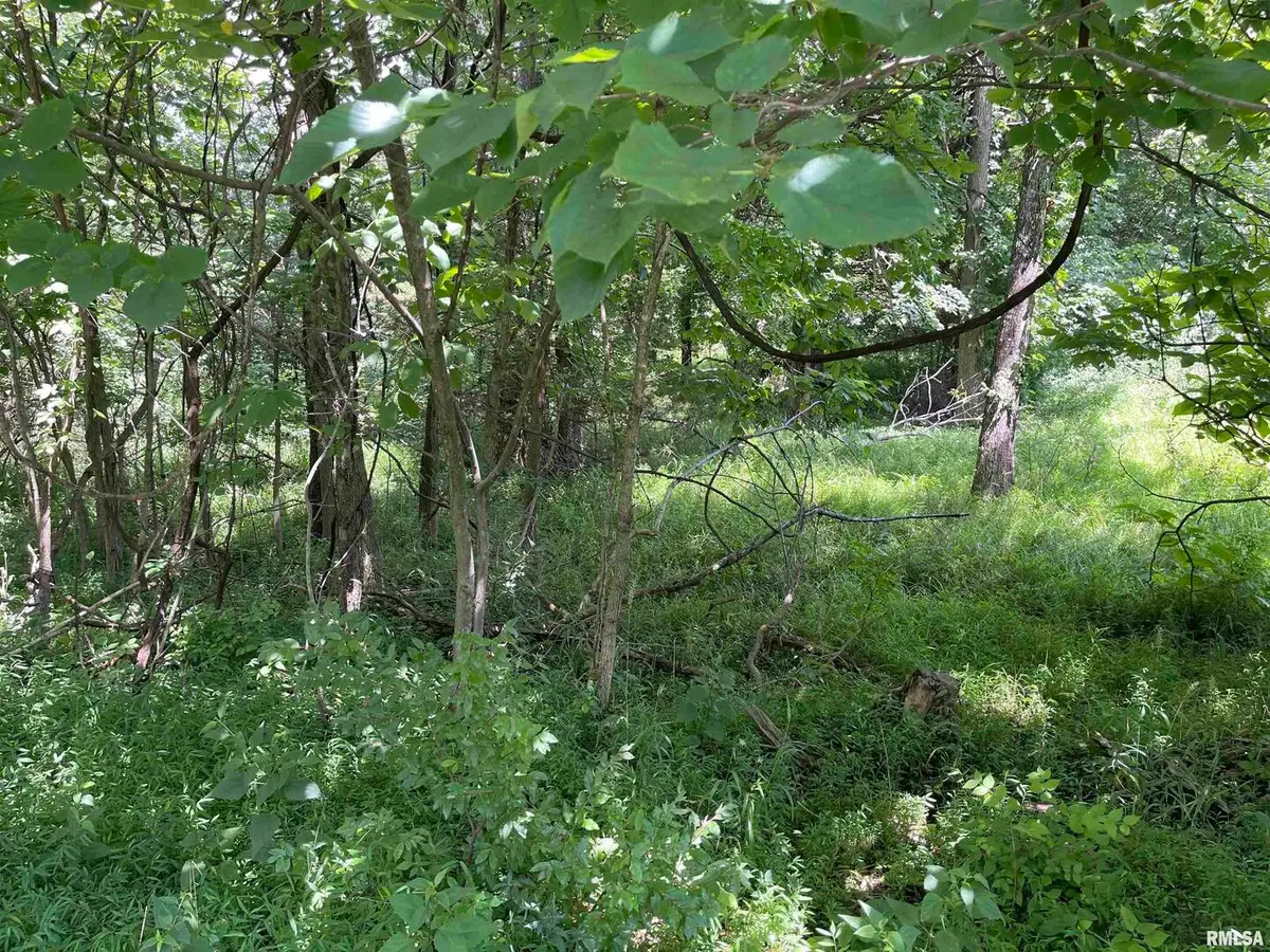 Lot 246 Mark Drive, Goreville, IL 62939 - Image #1