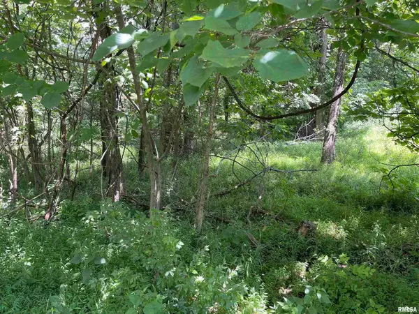 Lot 246 Mark Drive, Goreville, IL 62939