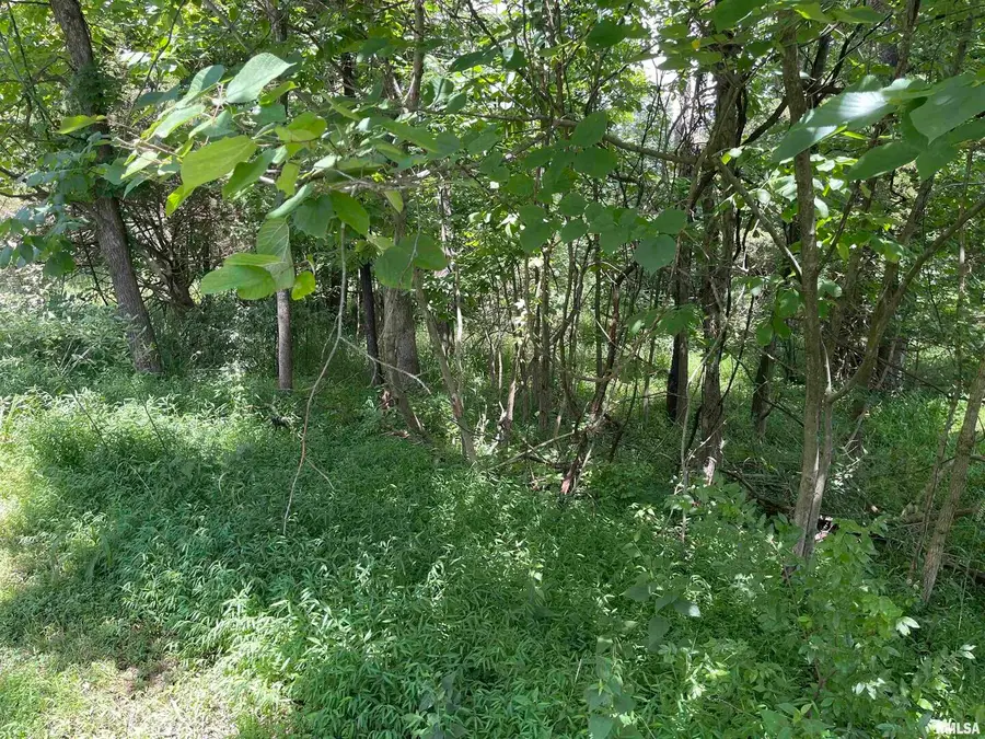 Lot 246 Mark Drive, Goreville, IL 62939 - Image #2