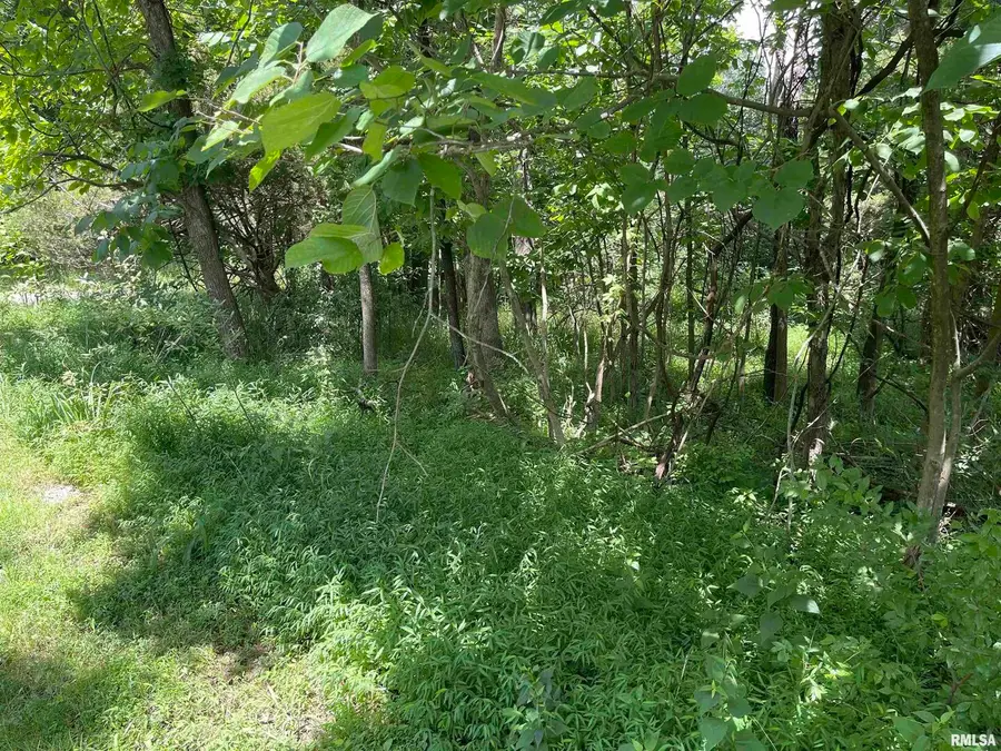 Lot 246 Mark Drive, Goreville, IL 62939 - Image #3