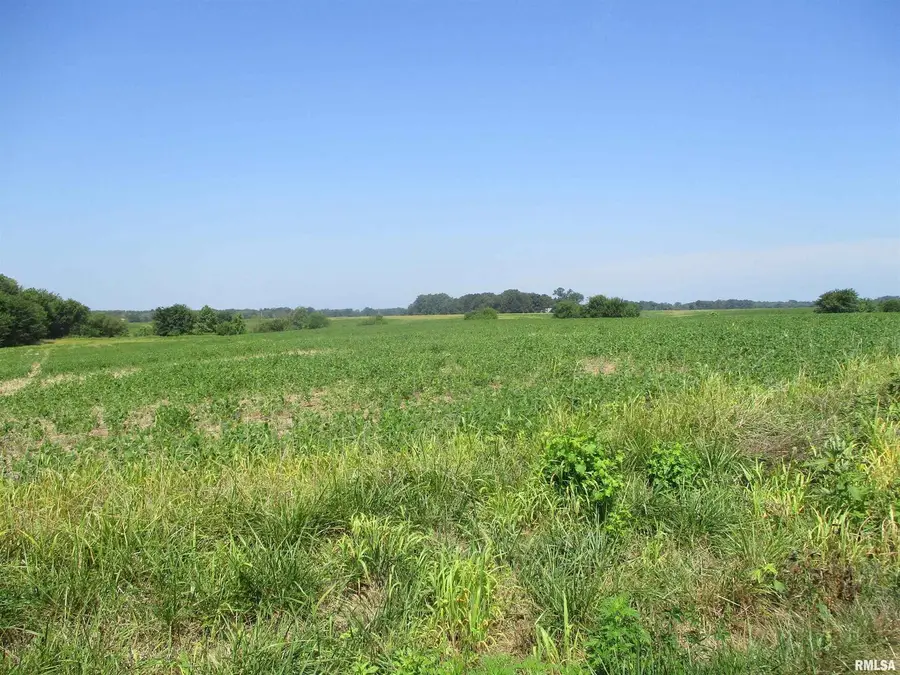 0000 Bean Road, Whittington, IL 62897 - Image #2