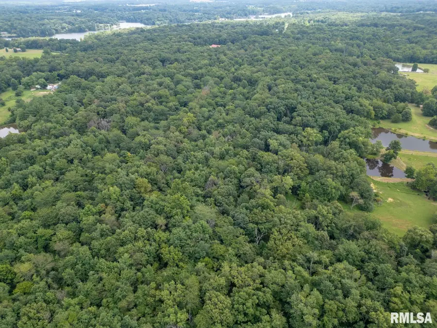 2655 Mcreynolds Lane, West Frankfort, IL 62896 - Image #2