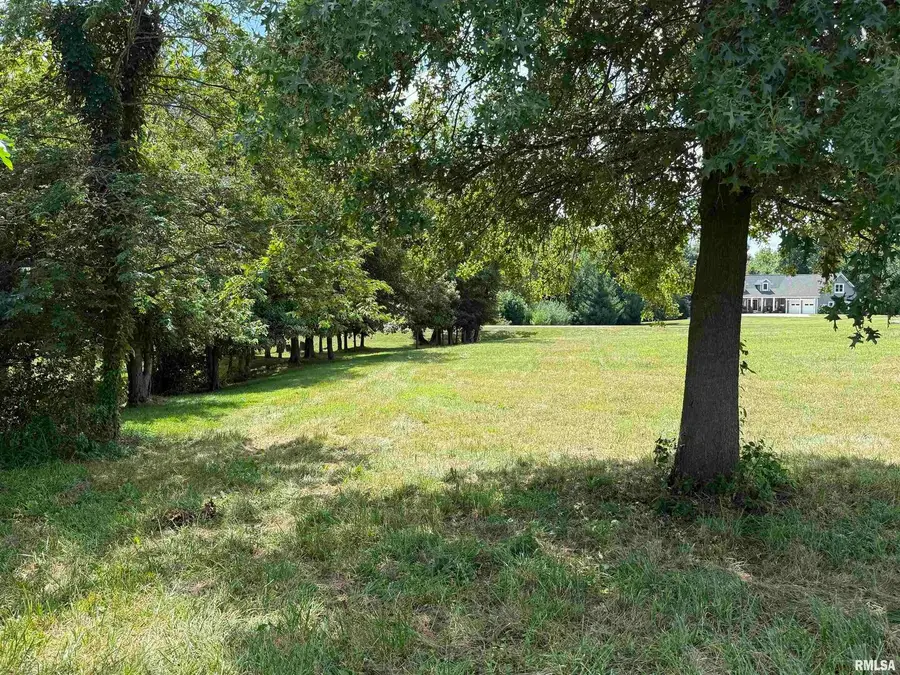 102 Davis Drive, Watson, IL 62473 - #2