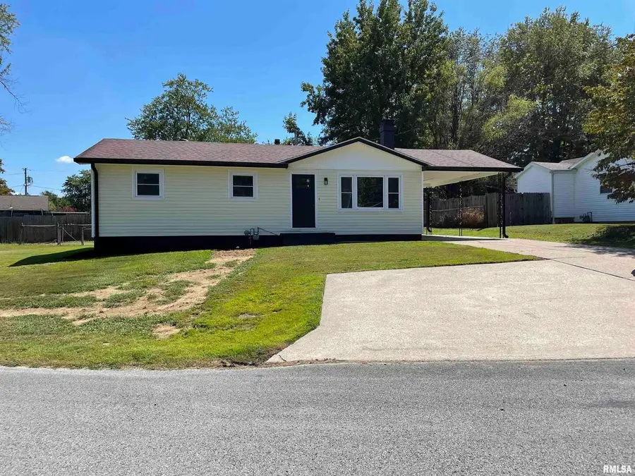 319 Lindsey Street, Metropolis, IL 62960 - #2