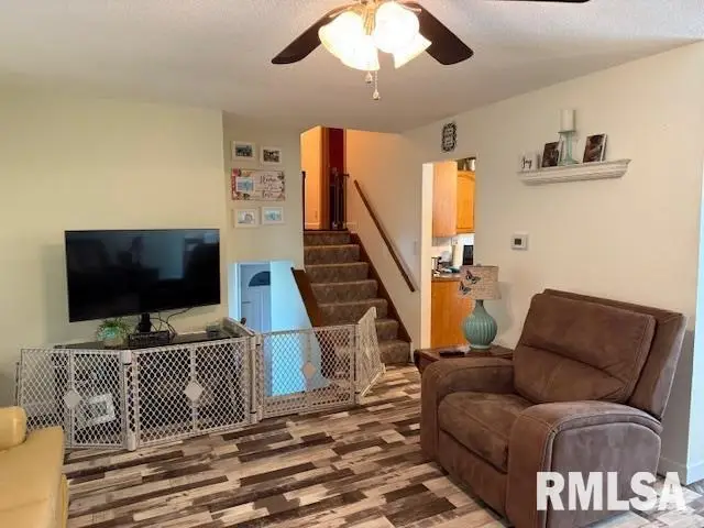 404 N Maple Street, Christopher, IL 62822 - #3