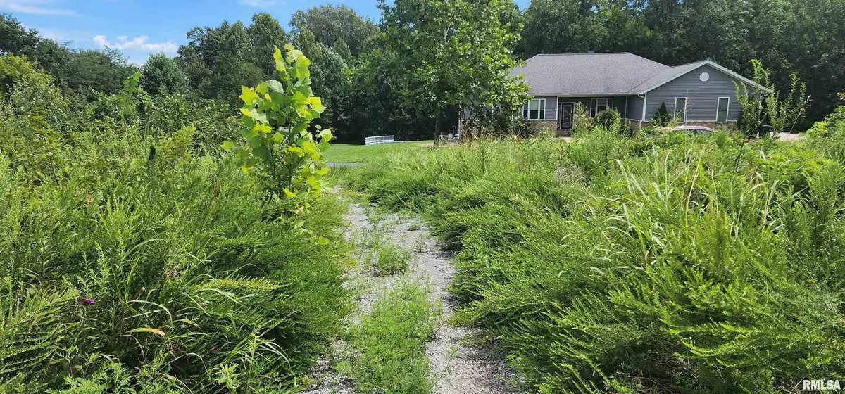 85 Maggie Lane, Makanda, IL 62958 - Image #1