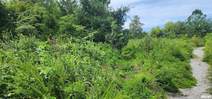 85 Maggie Lane, Makanda, IL 62958 - Image #3