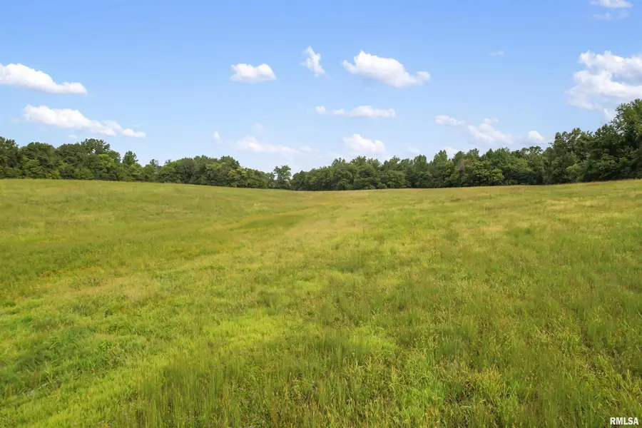 0 Wing Hill Road, Cobden, IL 62920 - Image #3