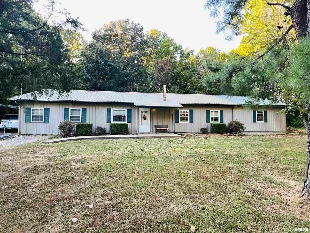 25001 W Old Salt Trail, Stonefort, IL 62987 - #1