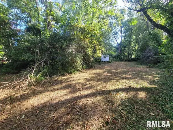 1116 S Holland Street, Harrisburg, IL 62946