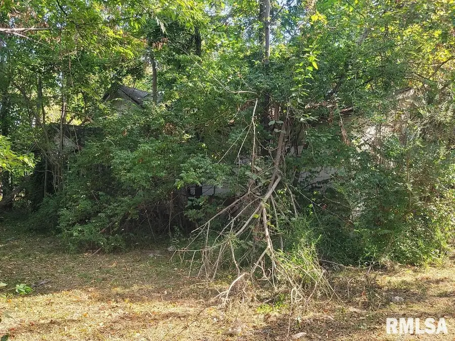 1116 S Holland Street, Harrisburg, IL 62946 - Image #2