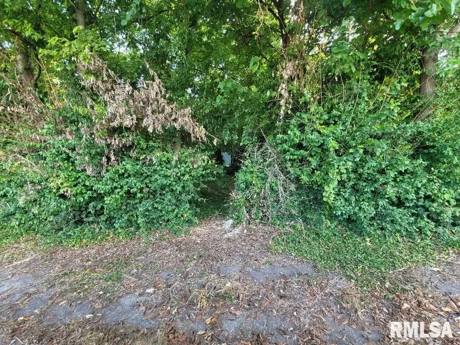 1116 S Holland Street, Harrisburg, IL 62946 - Image #3