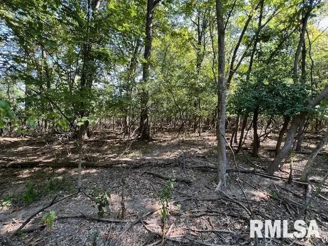 000 Barnett Street, Carterville, IL 62918 - #3