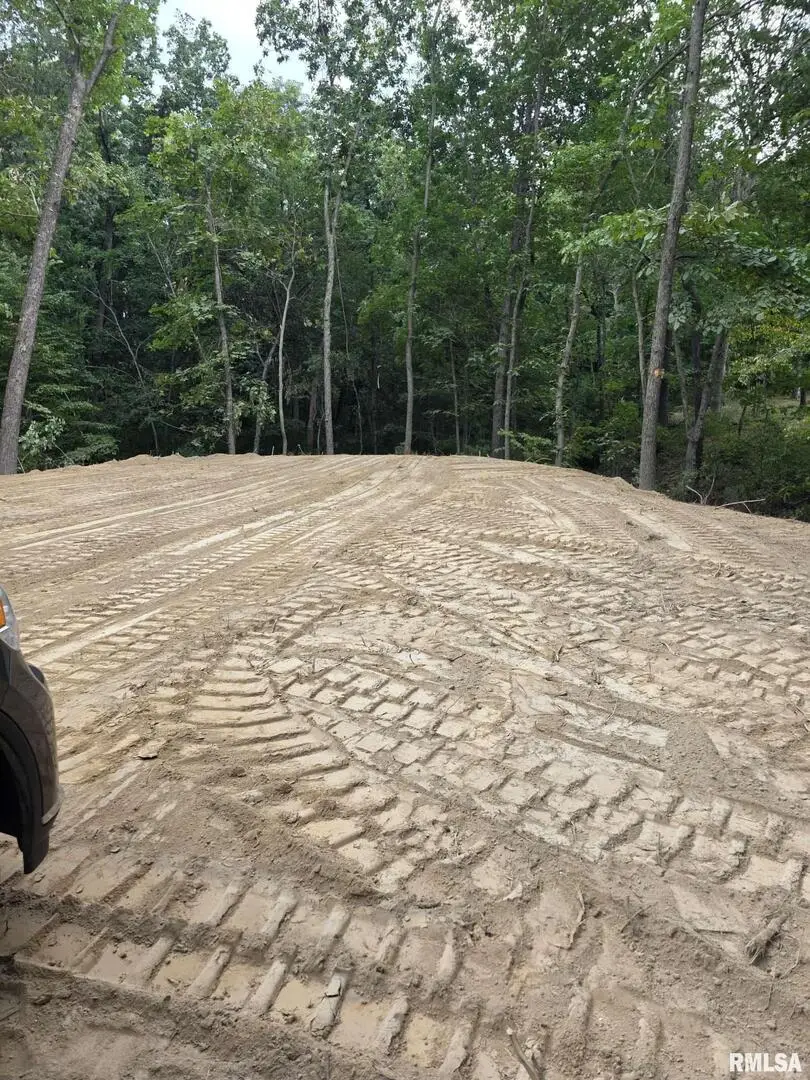 16154 N Hickory Lane, Woodlawn, IL 62898 - Image #1