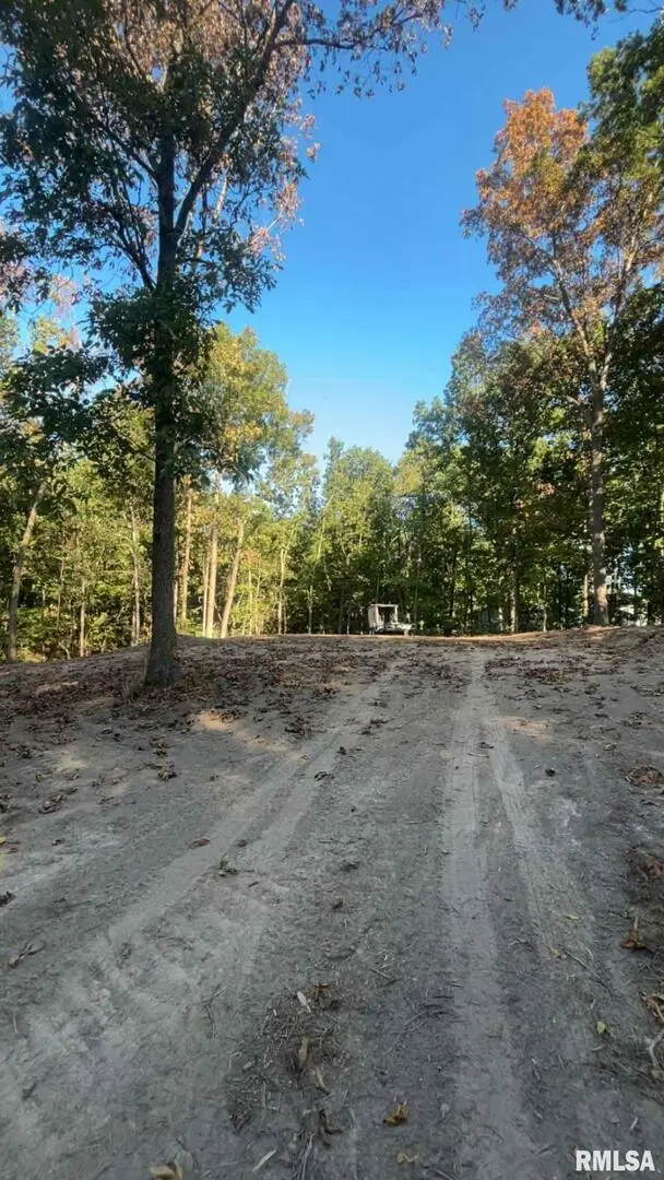 16154 N Hickory Lane, Woodlawn, IL 62898 - Image #2