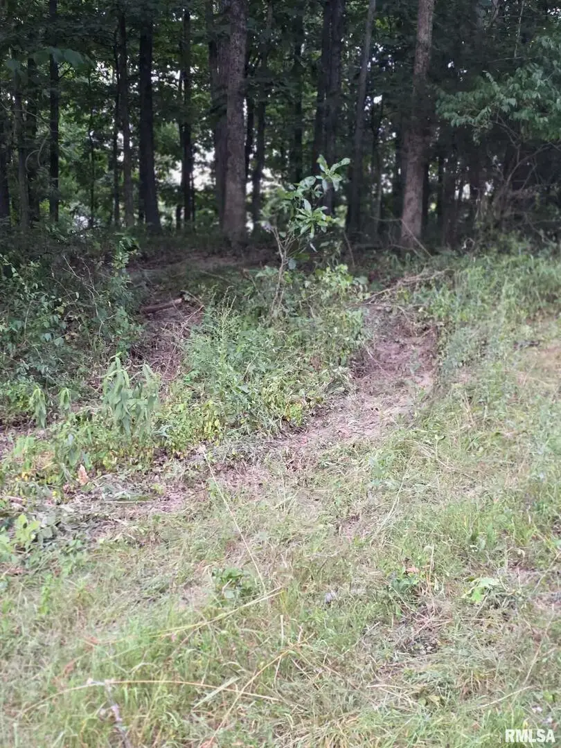 16154 N Hickory Lane, Woodlawn, IL 62898 - Image #3