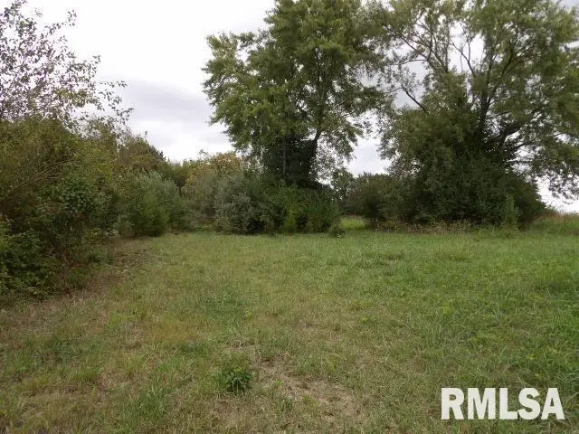 ooo Moore Street, Eldorado, IL 62930 - Image #1