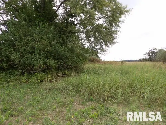 ooo Moore Street, Eldorado, IL 62930 - Image #2