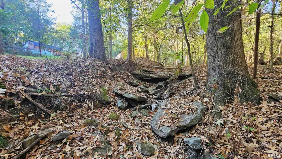 526 Power Plant Road, Marion, IL 62959 - Image #2