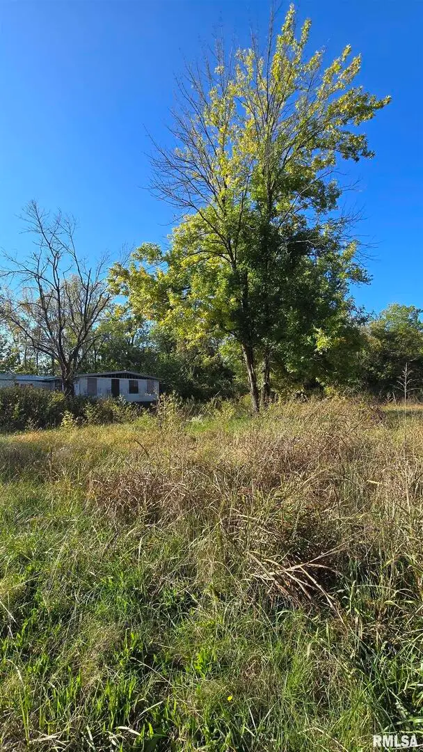 5725 W State Route 146 W, Jonesboro, IL 62952 - #3