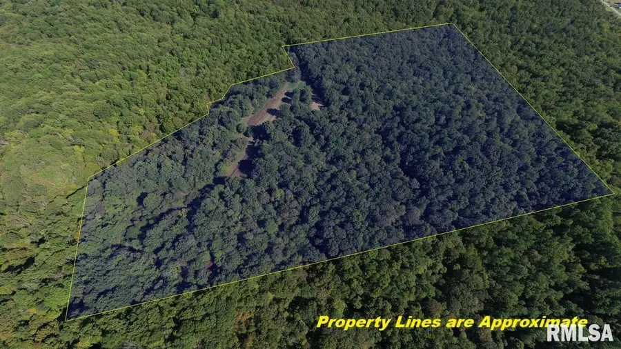 0000 Forest Road, Ava, IL 62907 - Image #2