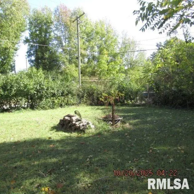 302 W Patton Street, Valier, IL 62891 - #3