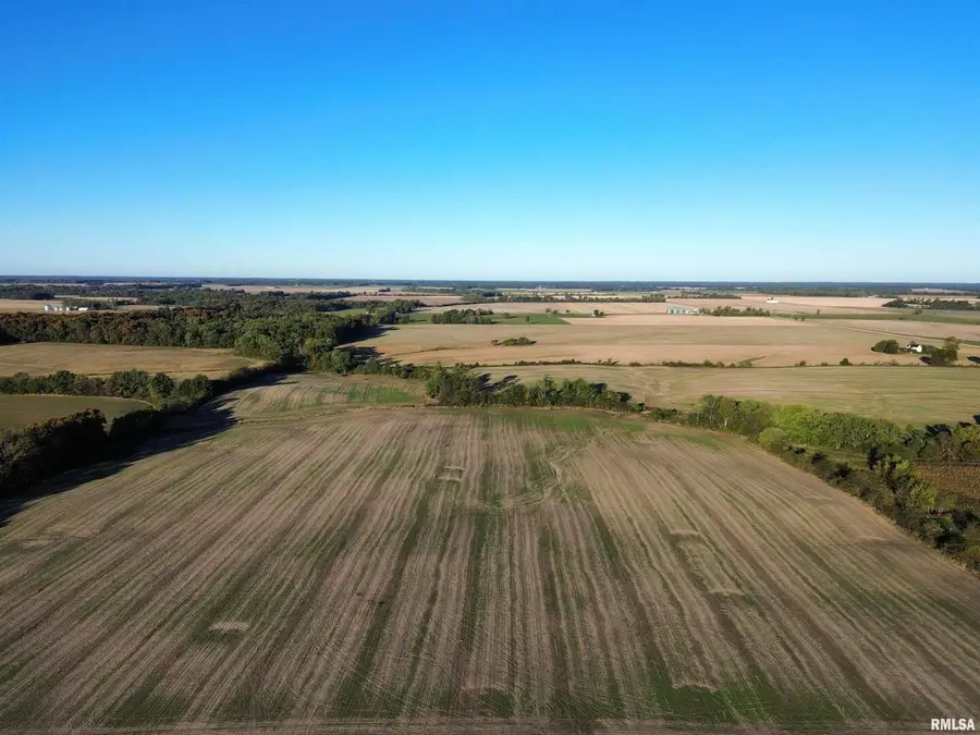 000 County Road 2100 N County Road, Cisne, IL 62823 - Image #3