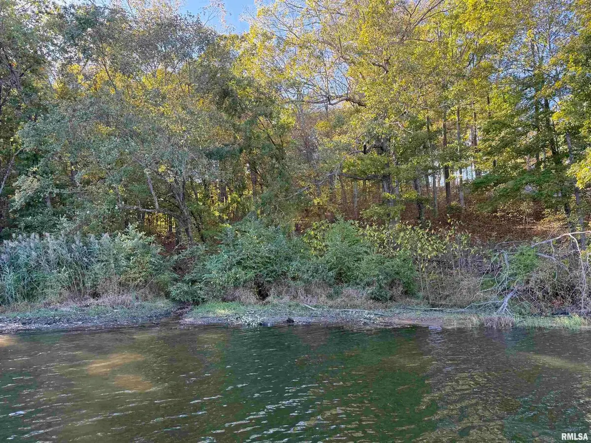 000 Clifty Lane, Goreville, IL 62939 - Image #1