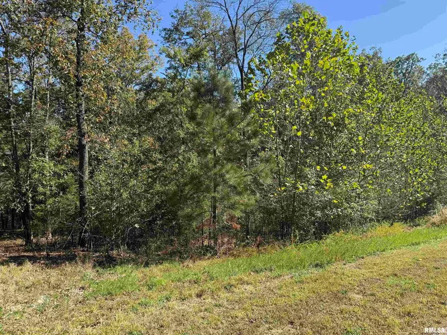 0000 Clifty Lane, Goreville, IL 62939 - Image #3