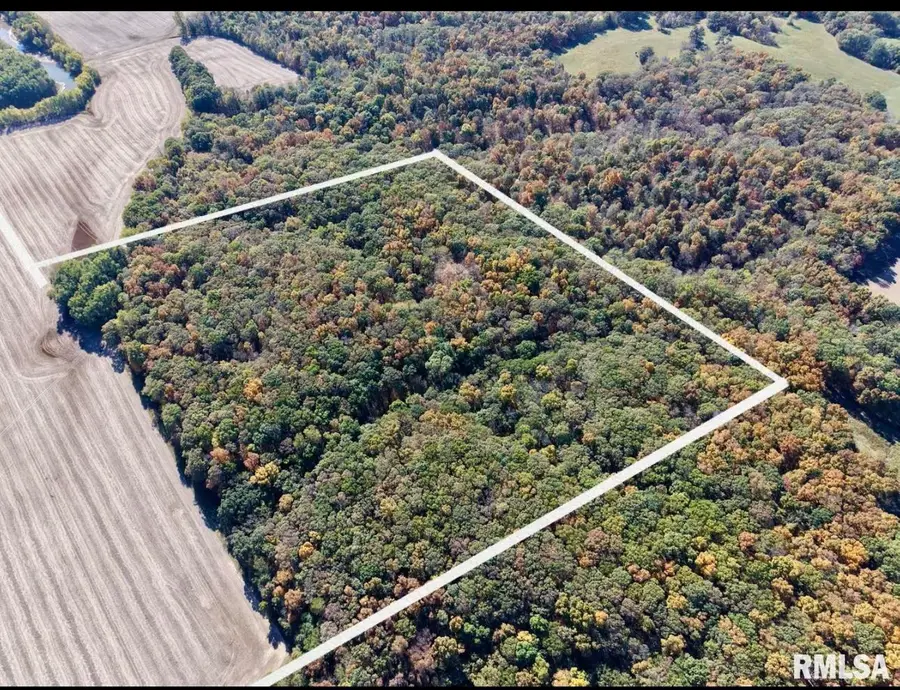 000 3100 East Avenue, Cowden, IL 62422 - Image #2