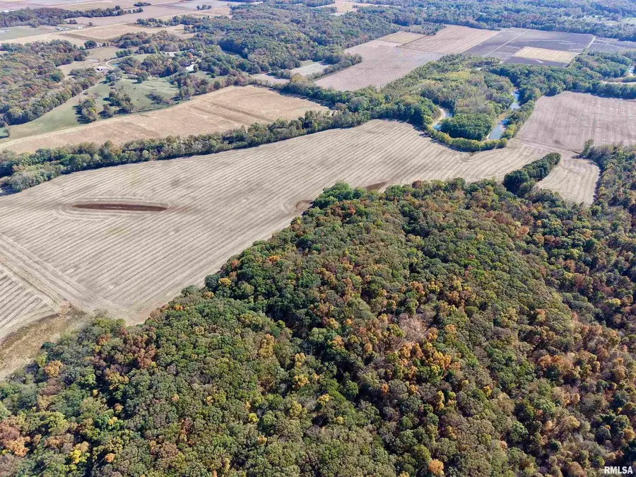 000 3100 East Avenue, Cowden, IL 62422 - Image #3