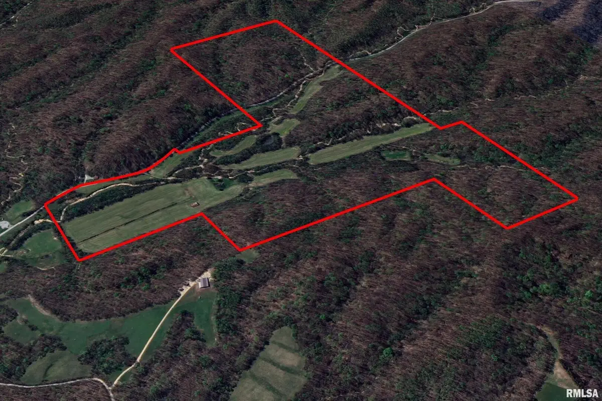 19168 County Line Road, Jonesboro, IL 62952 - Image #1