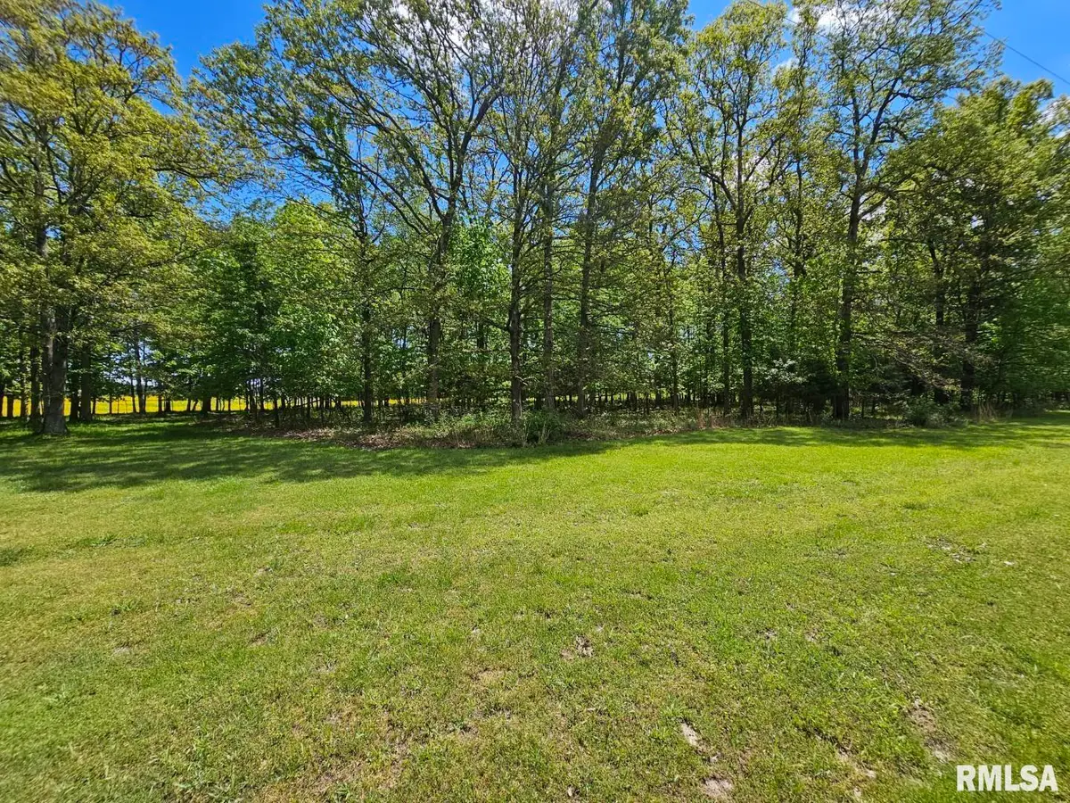 Lot 2 N Wildwood Place, Dix, IL 62830 - Image #1