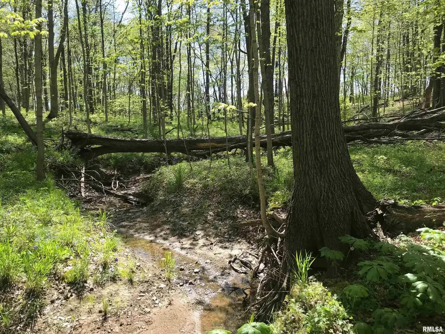 000 N 1900th Street, Dieterich, IL 62424 - #2