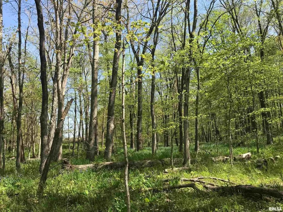 000 N 1900th Street, Dieterich, IL 62424 - #3