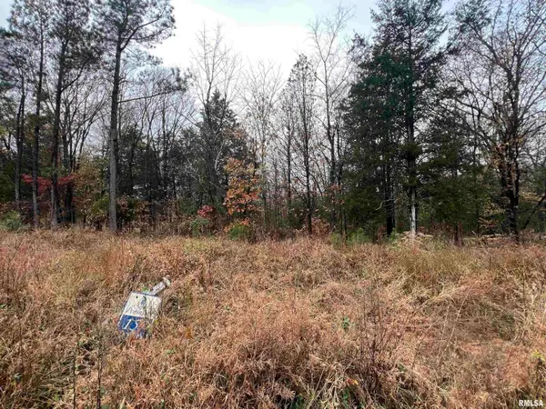 Lot 157 Parrish Ridge Lane, Goreville, IL 62939