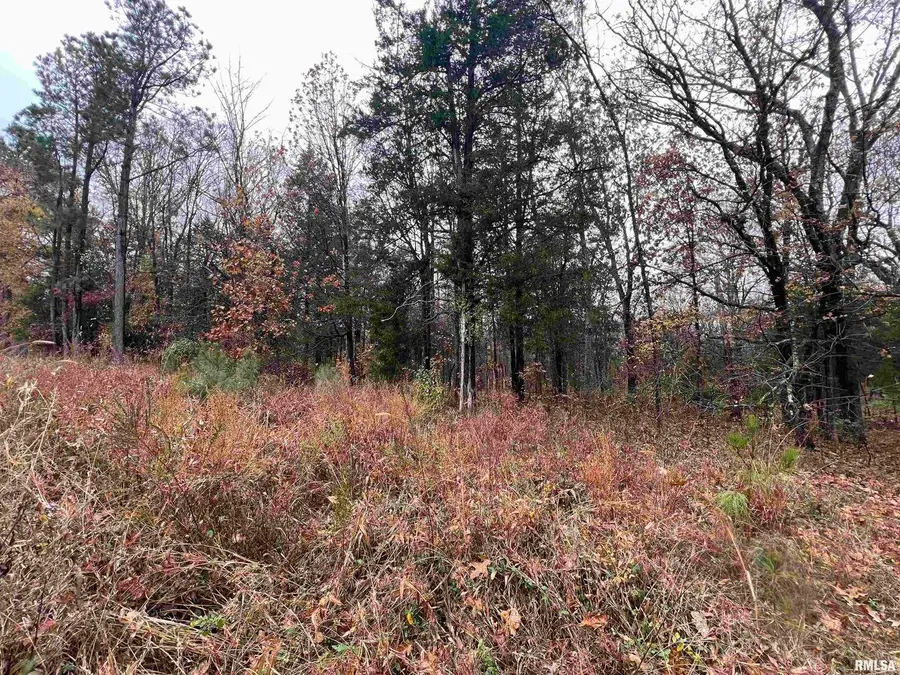 Lot 157 Parrish Ridge Lane, Goreville, IL 62939 - Image #2