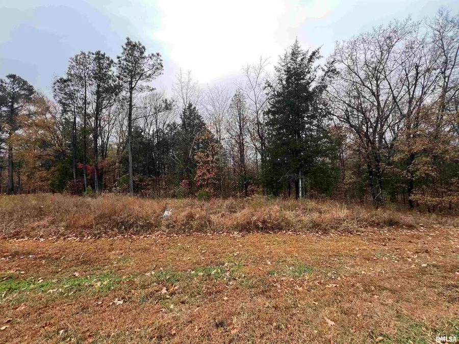 Lot 157 Parrish Ridge Lane, Goreville, IL 62939 - Image #3